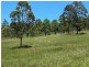 835 Willi Willi Road, Willi Willi NSW 2440