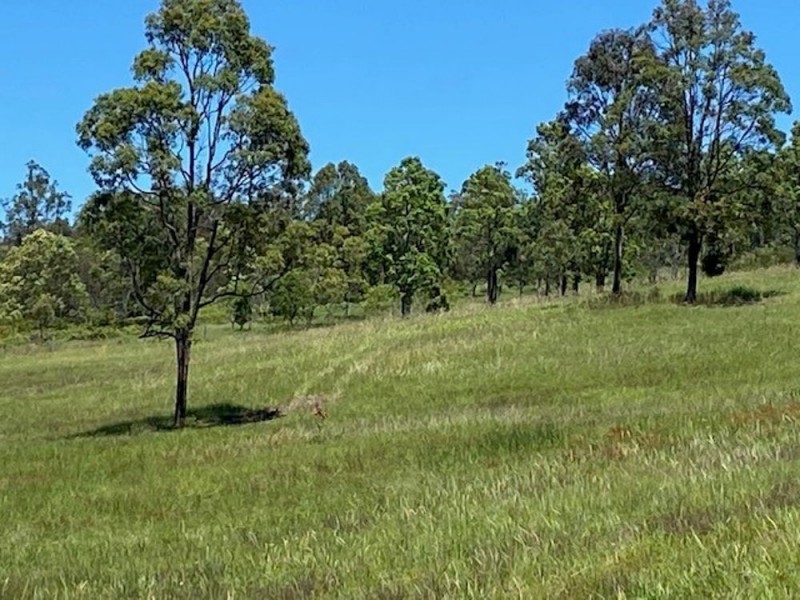 835 Willi Willi Road, Willi Willi NSW 2440