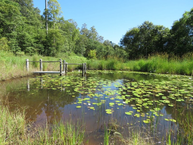 311 SUNDOWNER ROAD, Millbank NSW 2440