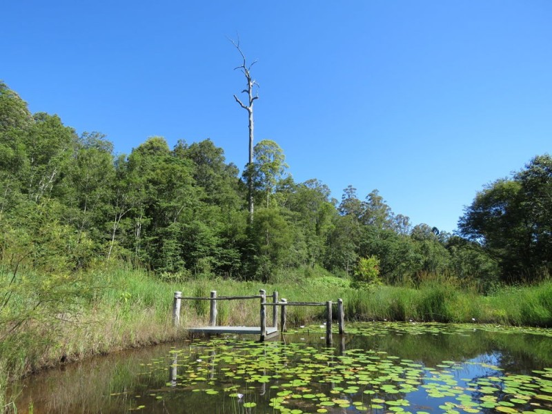 311 SUNDOWNER ROAD, Millbank NSW 2440