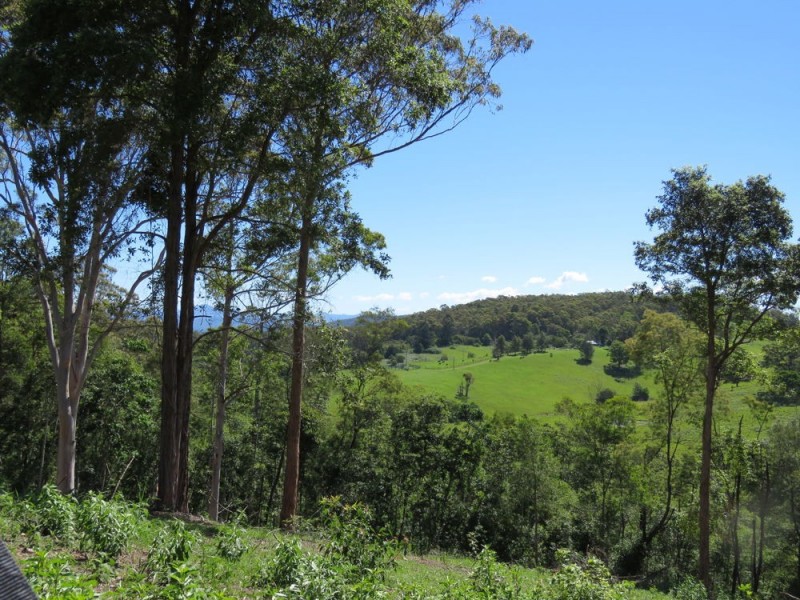 311 SUNDOWNER ROAD, Millbank NSW 2440