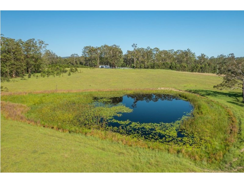 Upper smiths creek Rd, Kundabung NSW 2441