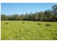 Upper smiths creek Rd, Kundabung NSW 2441