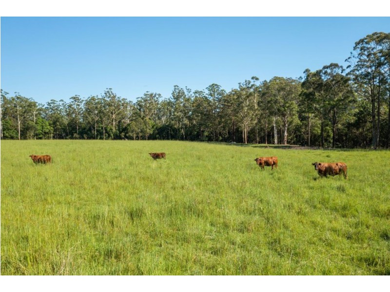 Upper smiths creek Rd, Kundabung NSW 2441