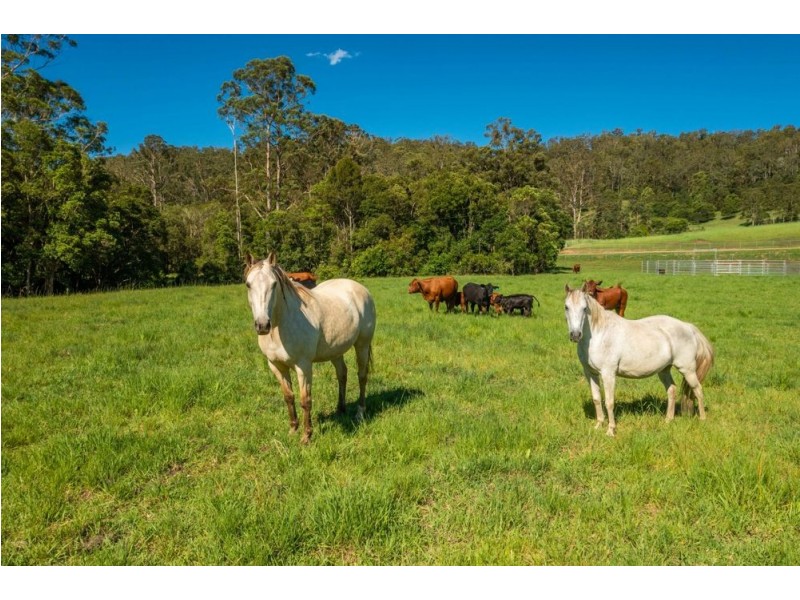 157. Gum Scrub Road, Gum Scrub NSW 2441