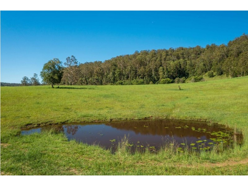 157. Gum Scrub Road, Gum Scrub NSW 2441