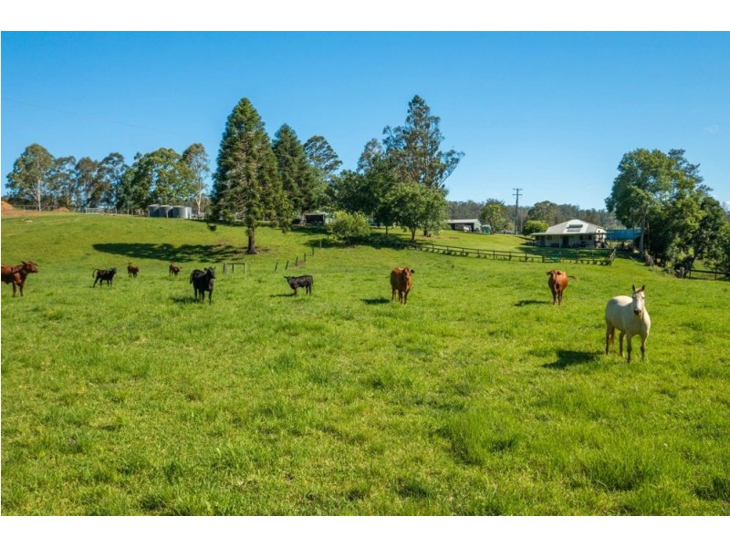 157. Gum Scrub Road, Gum Scrub NSW 2441