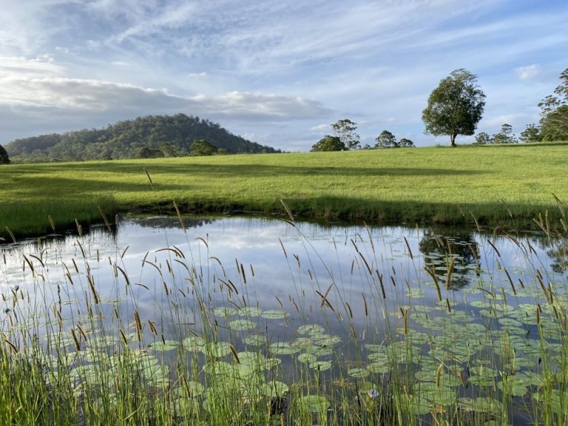 157. Gum Scrub Road, Gum Scrub NSW 2441