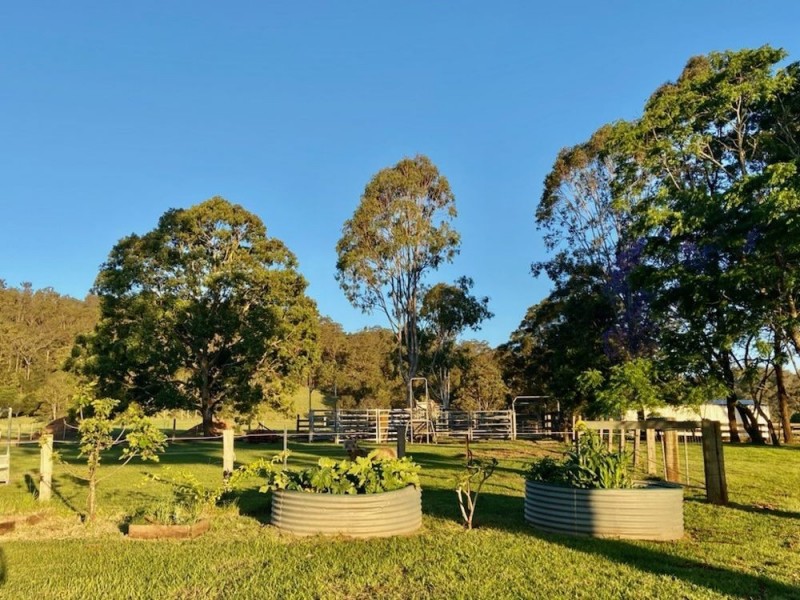 157. Gum Scrub Road, Gum Scrub NSW 2441