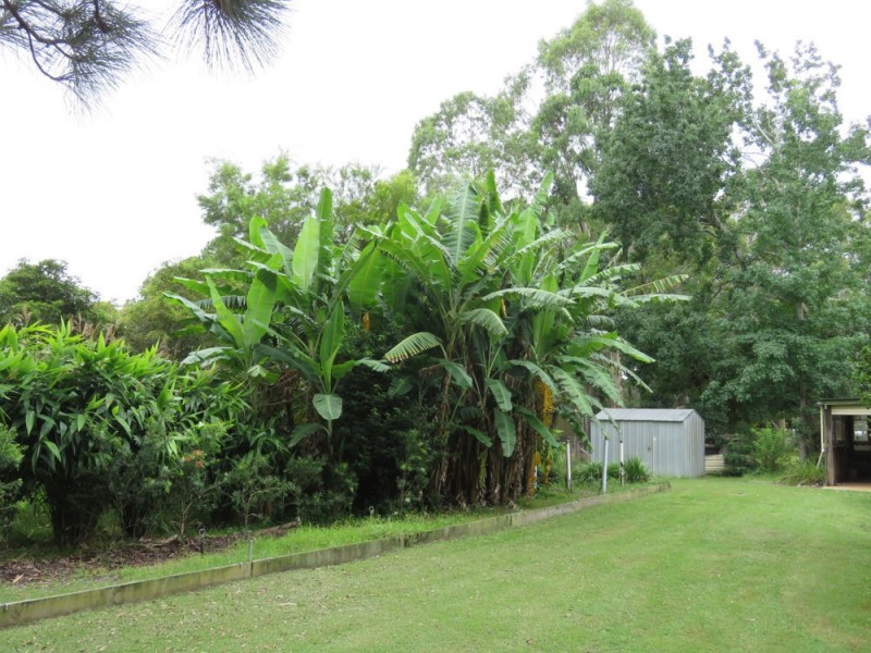 93 Kundabung Road, Kundabung NSW 2441