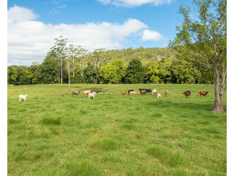 563 Lorne Road, Upsalls Creek NSW 2439