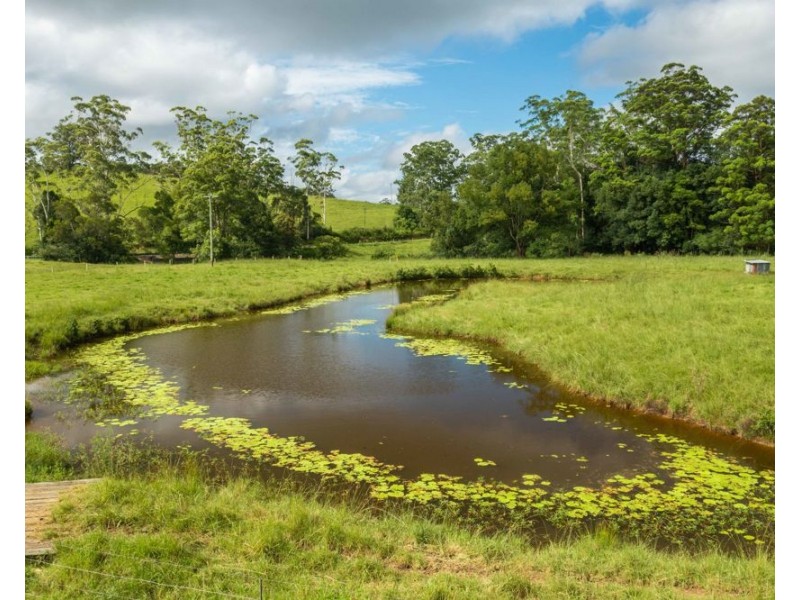 563 Lorne Road, Upsalls Creek NSW 2439