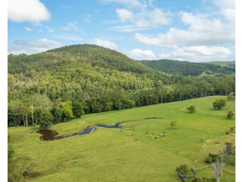 563 Lorne Road, Upsalls Creek NSW 2439