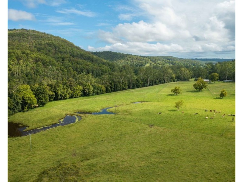 563 Lorne Road, Upsalls Creek NSW 2439