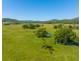 1220 Rollands Plains Road, Ballengarra NSW 2441