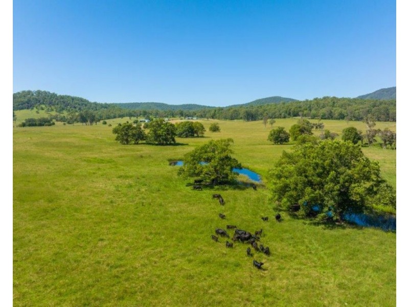 1220 Rollands Plains Road, Ballengarra NSW 2441
