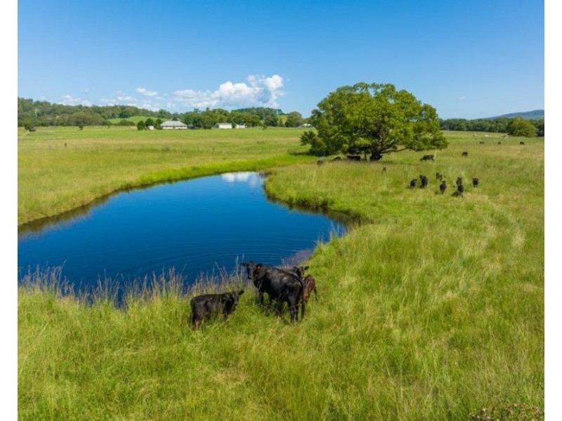 1220 Rollands Plains Road, Ballengarra NSW 2441