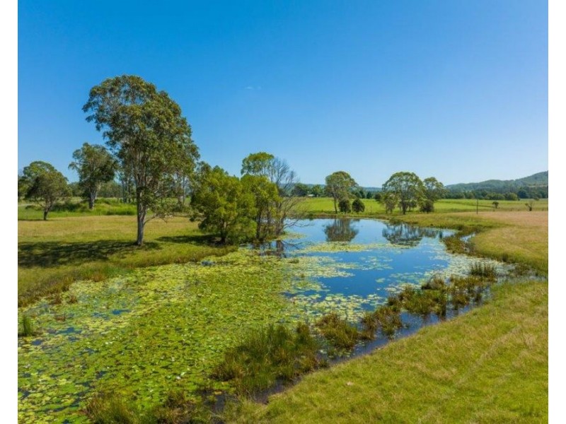 1220 Rollands Plains Road, Ballengarra NSW 2441