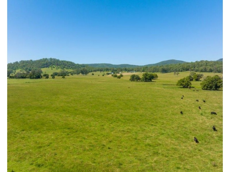 1220 Rollands Plains Road, Ballengarra NSW 2441