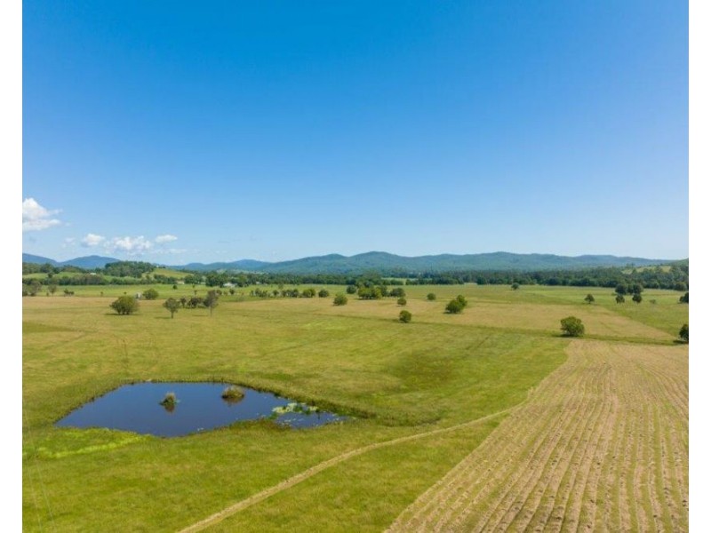 1220 Rollands Plains Road, Ballengarra NSW 2441