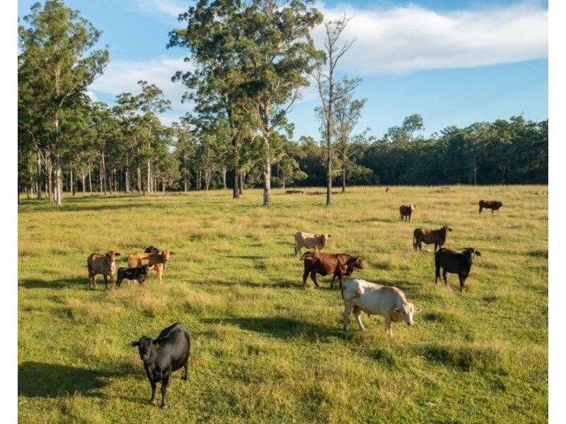 Lot 101 of  27 Seams Road, Kundabung NSW 2441