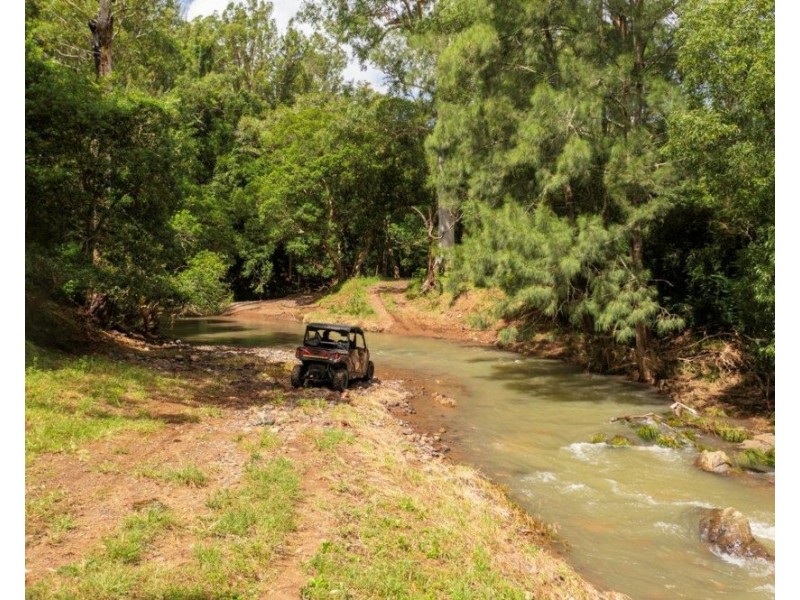 1609 Toms Creek Road, Toms Creek NSW 2446