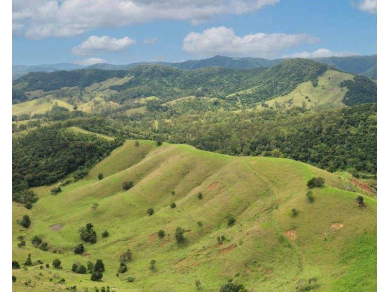 1609 Toms Creek Road, Toms Creek NSW 2446