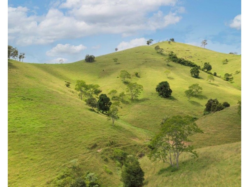 1609 Toms Creek Road, Toms Creek NSW 2446