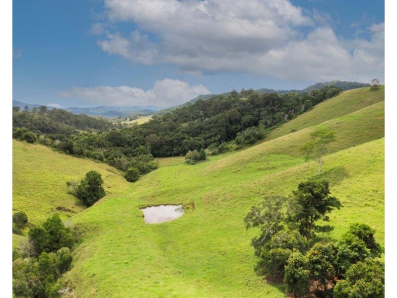 1609 Toms Creek Road, Toms Creek NSW 2446