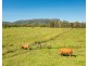 248 Hewens Rd, Brombin NSW 2446