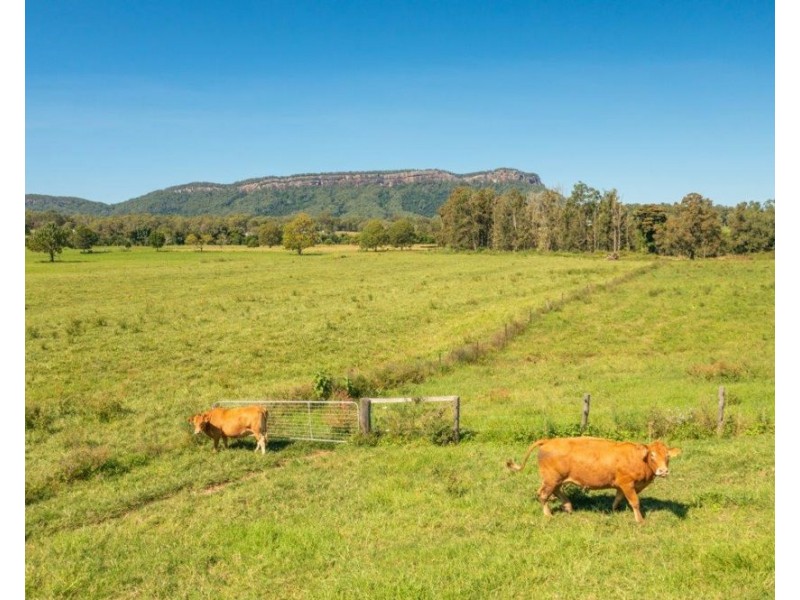 248 Hewens Rd, Brombin NSW 2446