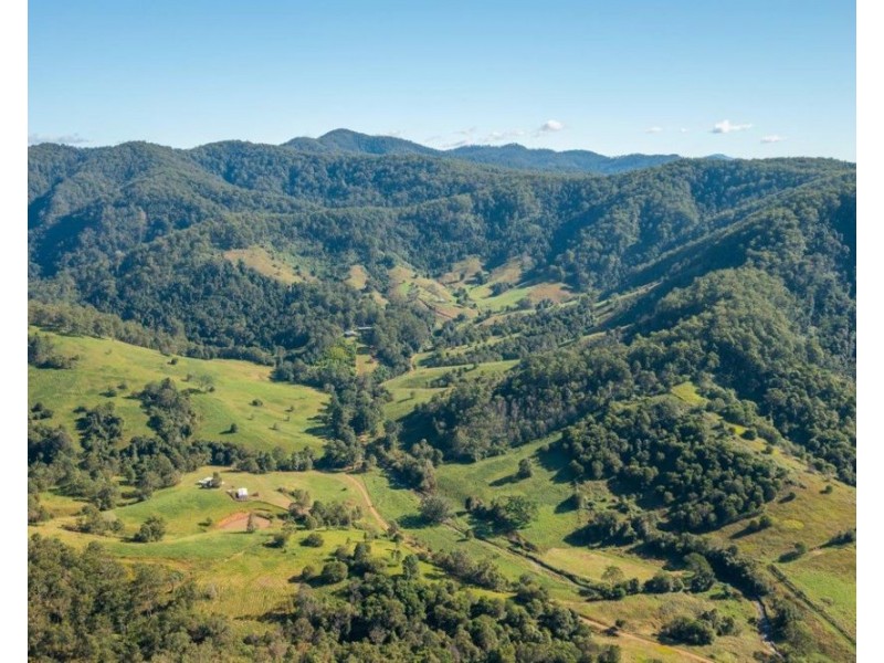 Lot 21 of 227 Pine Scrub Road, Kindee NSW 2446