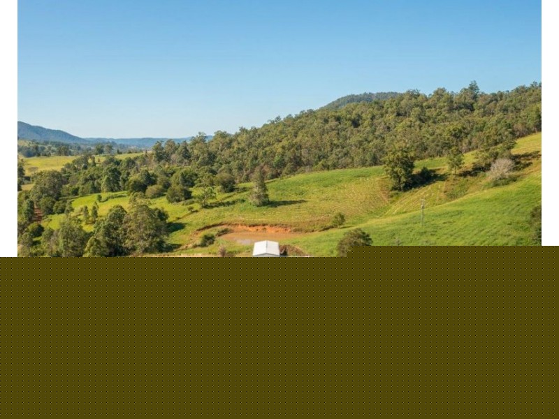 Lot 21 of 227 Pine Scrub Road, Kindee NSW 2446