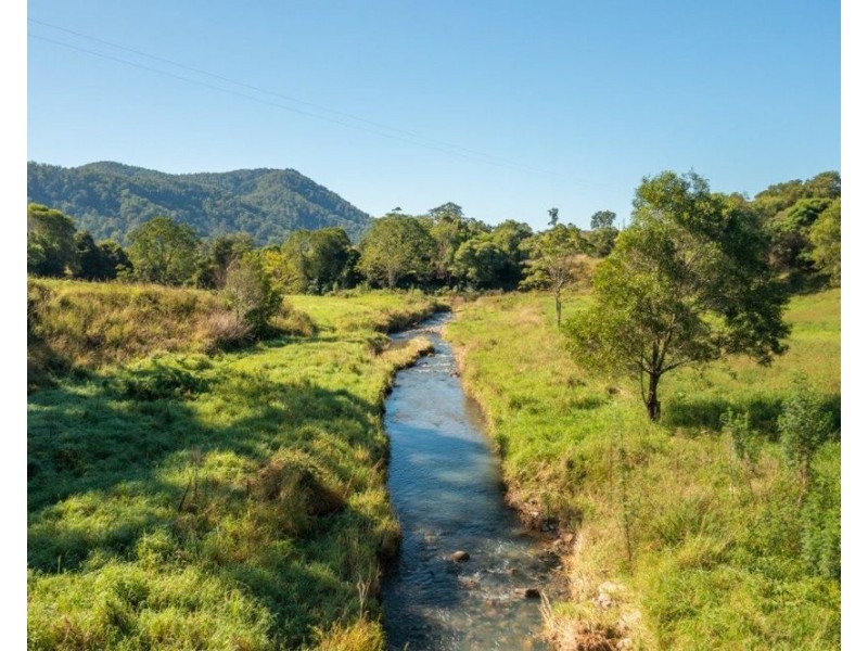 Lot 21 of 227 Pine Scrub Road, Kindee NSW 2446