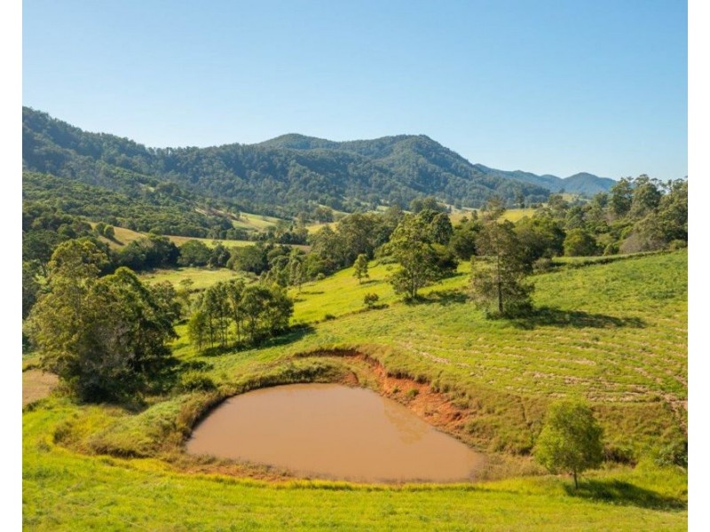 Lot 21 of 227 Pine Scrub Road, Kindee NSW 2446