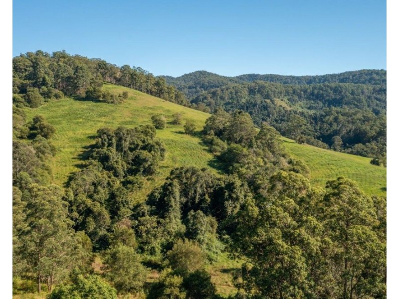 Lot 21 of 227 Pine Scrub Road, Kindee NSW 2446