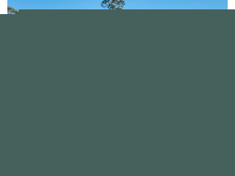 1173 Pembrooke Road, Pembrooke NSW 2446