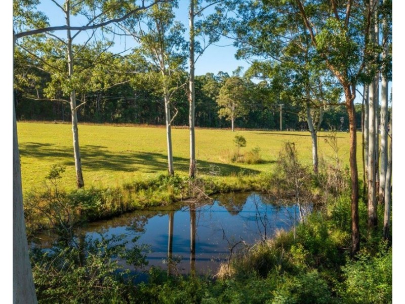 1173 Pembrooke Road, Pembrooke NSW 2446