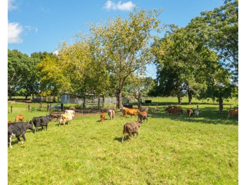 326 Macleay Valley Way, Kempsey NSW 2440