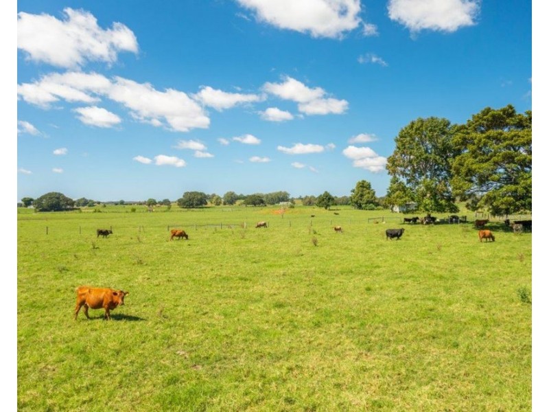 326 Macleay Valley Way, Kempsey NSW 2440