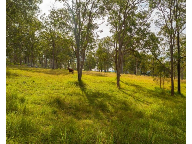 116 Silverwood Avenue, Temagog NSW 2440