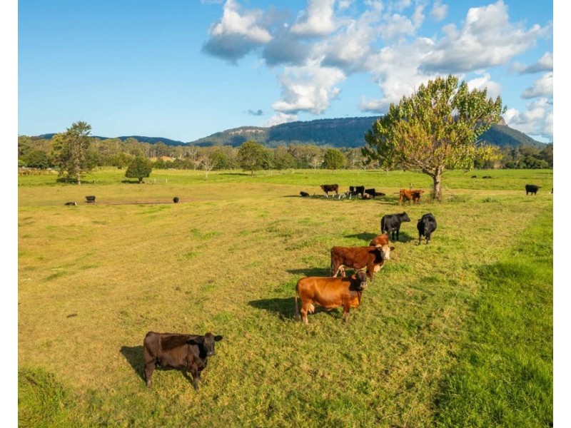 Lot 6 Hewens Road, Brombin NSW 2446