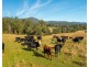 Lot 1 Myall Scrub Creek Road, Rollands Plains NSW 2441