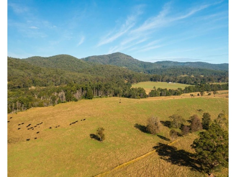 Lot 1 Myall Scrub Creek Road, Rollands Plains NSW 2441