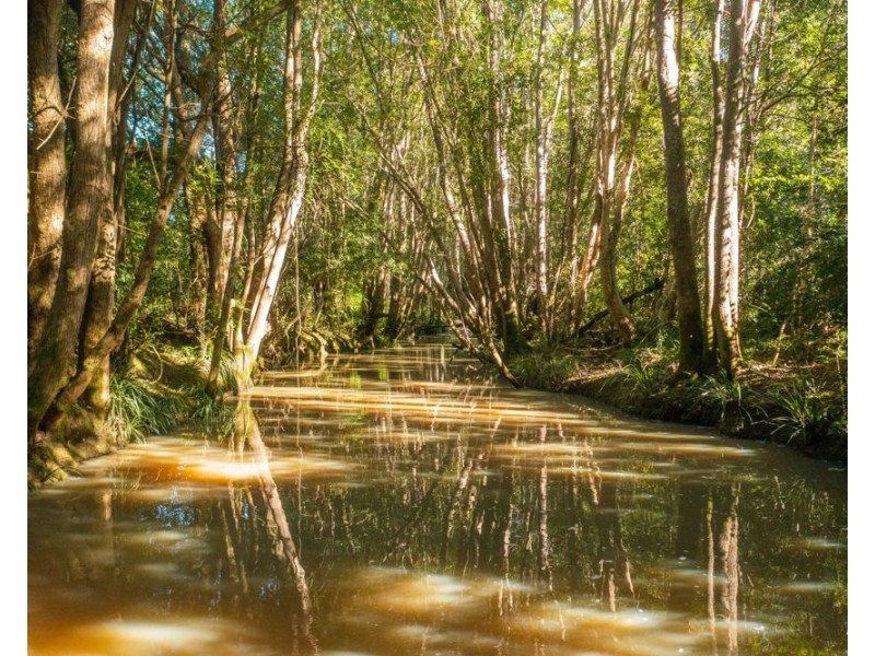 Lot 1 Myall Scrub Creek Road, Rollands Plains NSW 2441