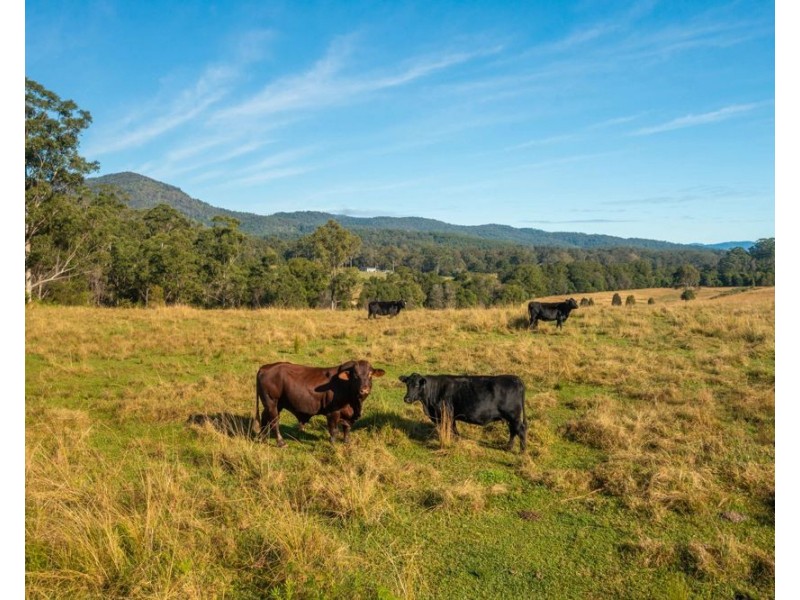 Lot 1 Myall Scrub Creek Road, Rollands Plains NSW 2441