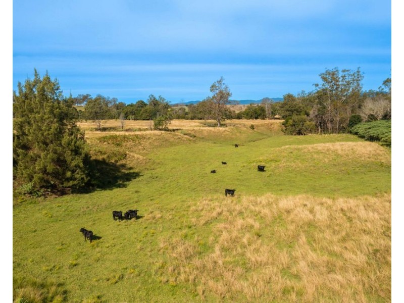 151 Secombs Lane, Hickeys Creek NSW 2440