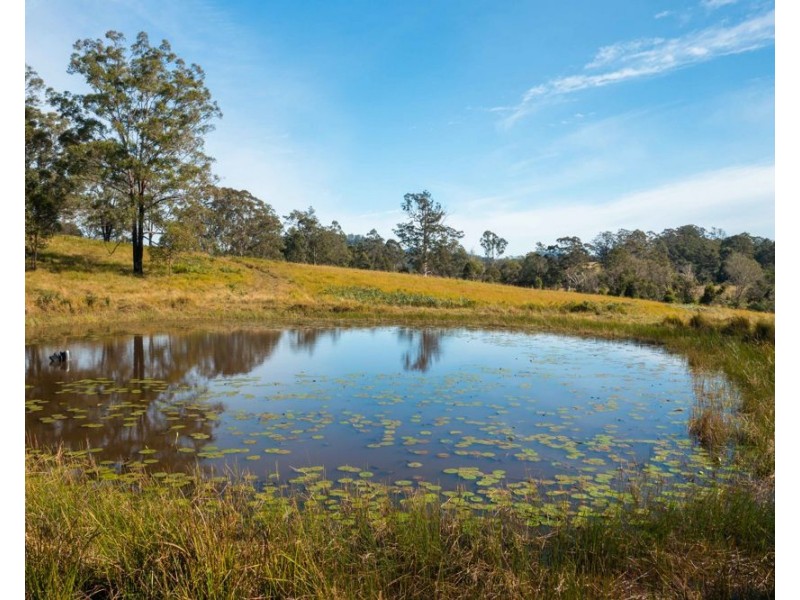 151 Secombs Lane, Hickeys Creek NSW 2440