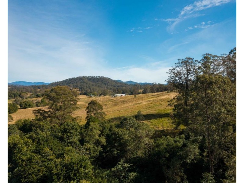 151 Secombs Lane, Hickeys Creek NSW 2440