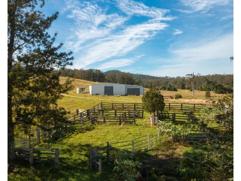 151 Secombs Lane, Hickeys Creek NSW 2440